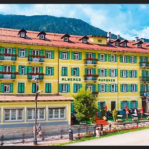 https://hotel-auronzo-auronzo-di-cadore.hotelinveneto.com